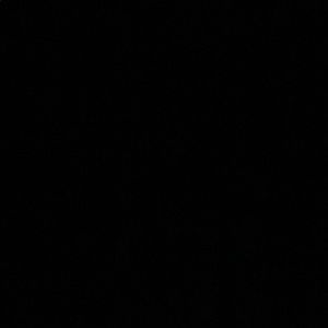 Meet your Posher, Jaylil